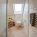 Marienkäfer Apartment